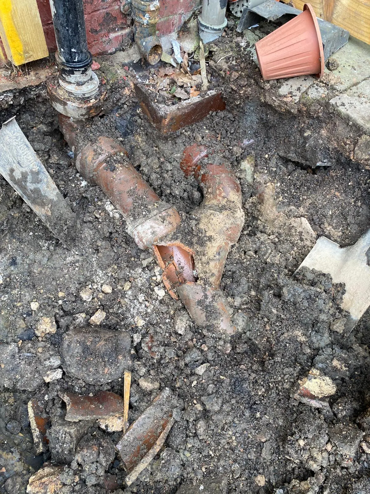 WhatsApp Image 2025-09-20 at 13.16.42(1)